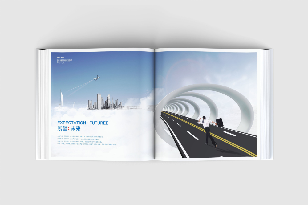 行唐县画册设计